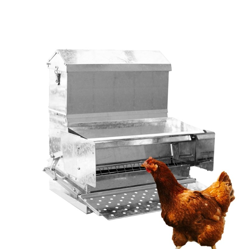 RentACoop 40 lb automatic treadle chicken feeder with a hen