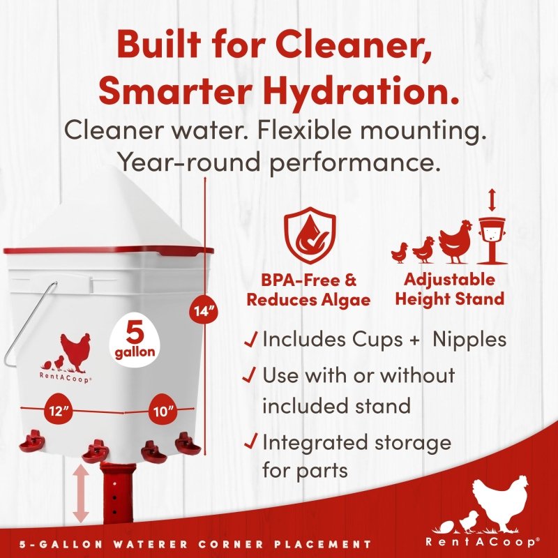 RentACoop 5 gallon corner waterer features: BPA-free, cups, nipples and adjustable stand