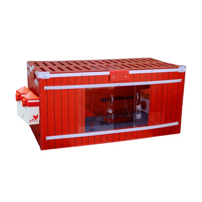 RentACoop Big Red Barn chick brooder set