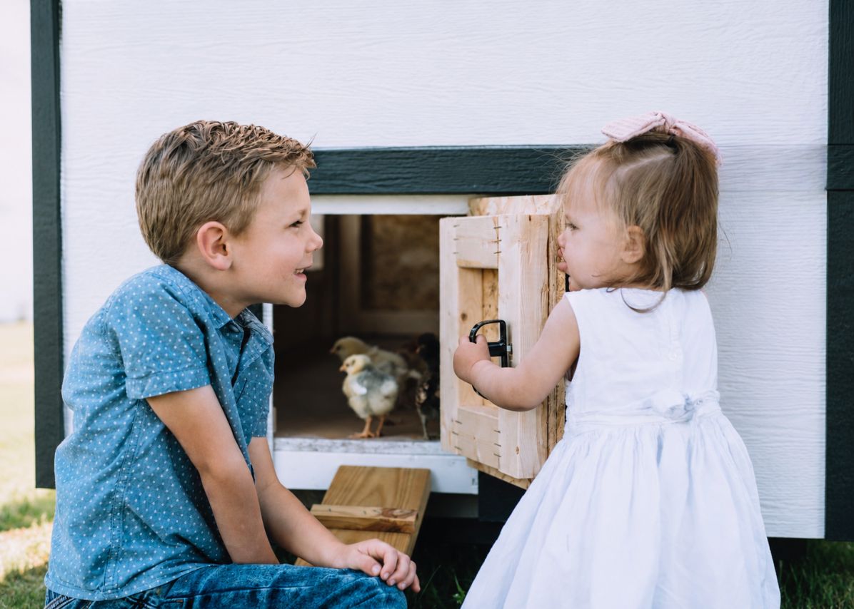 Children looking at chickens through the door of the large chicken coop
