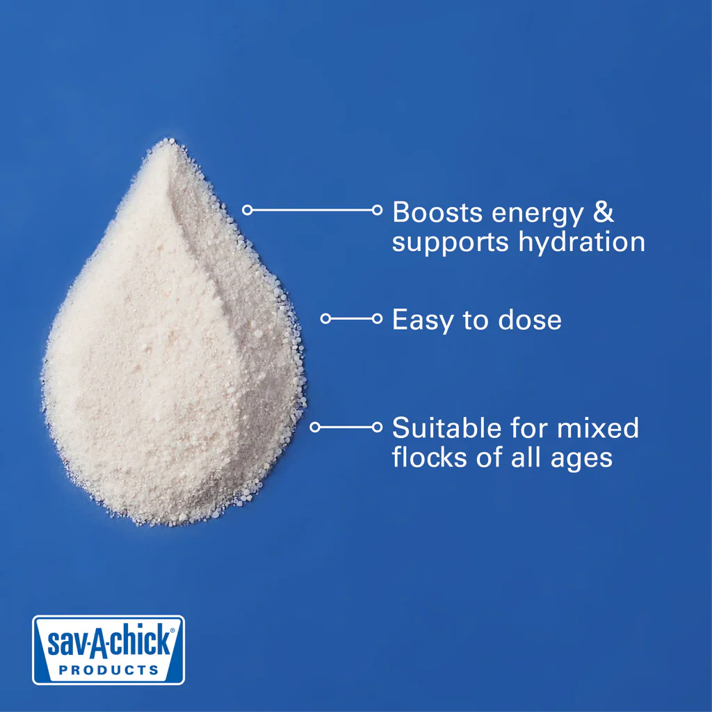 Sav-A-Chick electrolytes boost energy and hydration for flocks of all ages