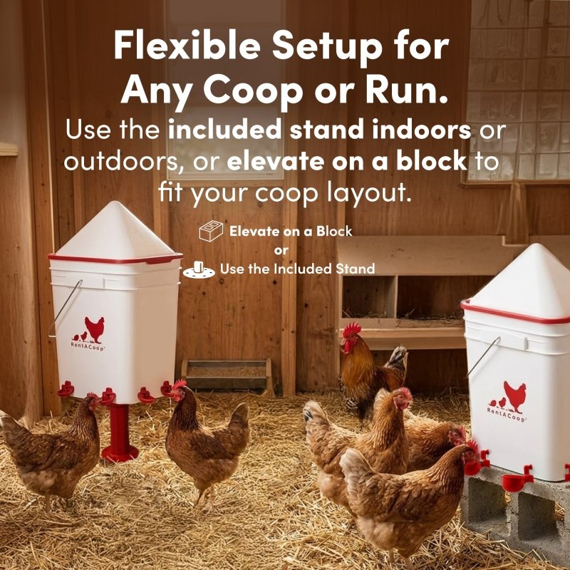 RentACoop 5 gallon waterer elevated on a block or on the included stand in a coop