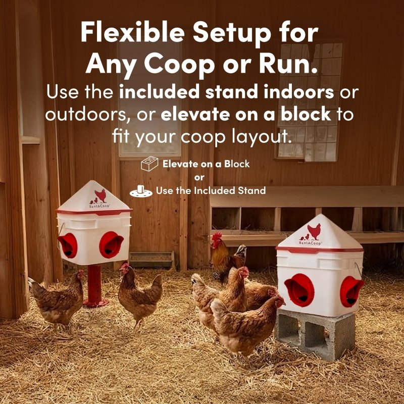 Chick2Chicken feeders on stands and blocks in a coop with chickens