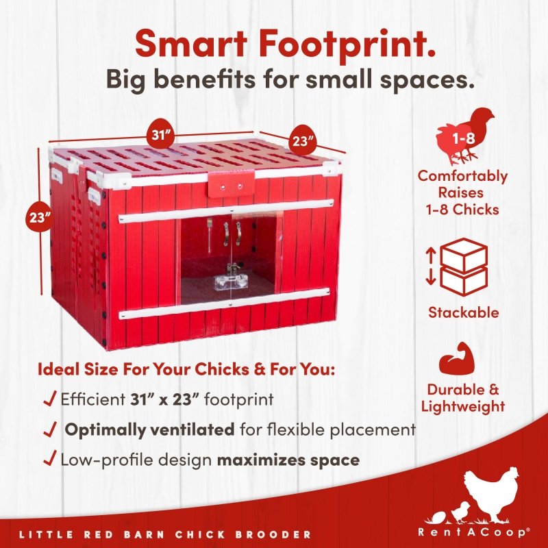 Little Red Barn chick brooder 31 by 23 inch footprint, raises 1 to 8 chicks
