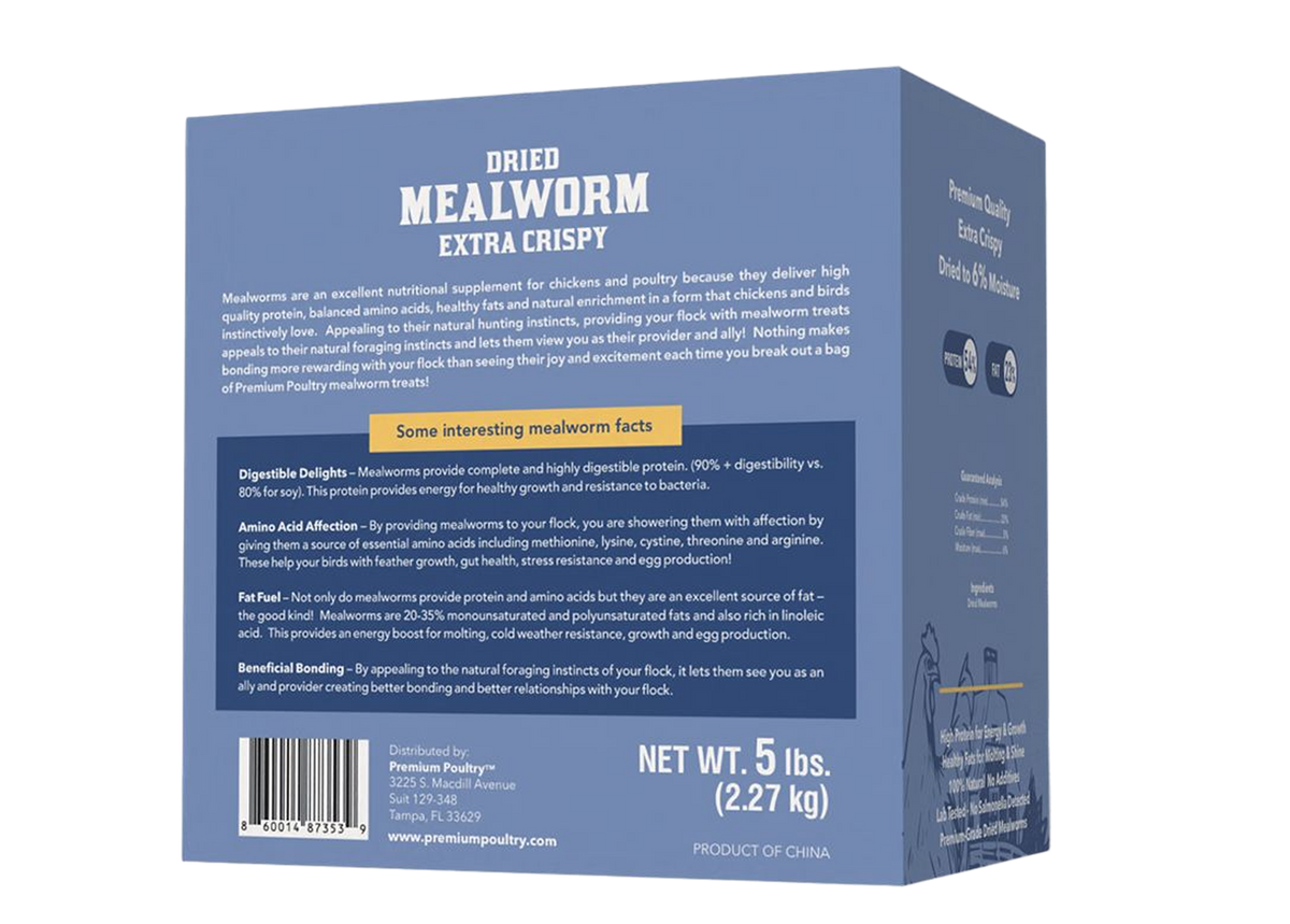Dried Mealworms