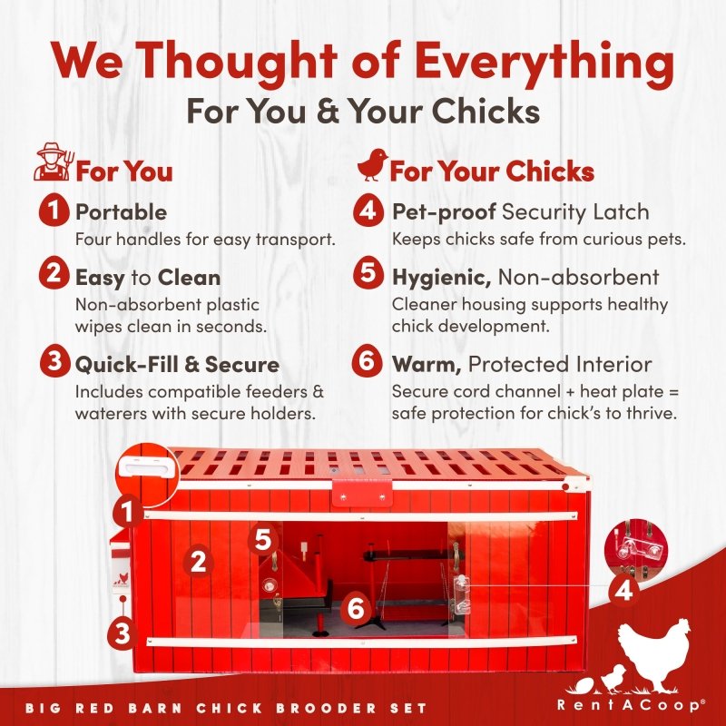 Big Red Barn brooder set features: portable, quick-fill feeders, security latch