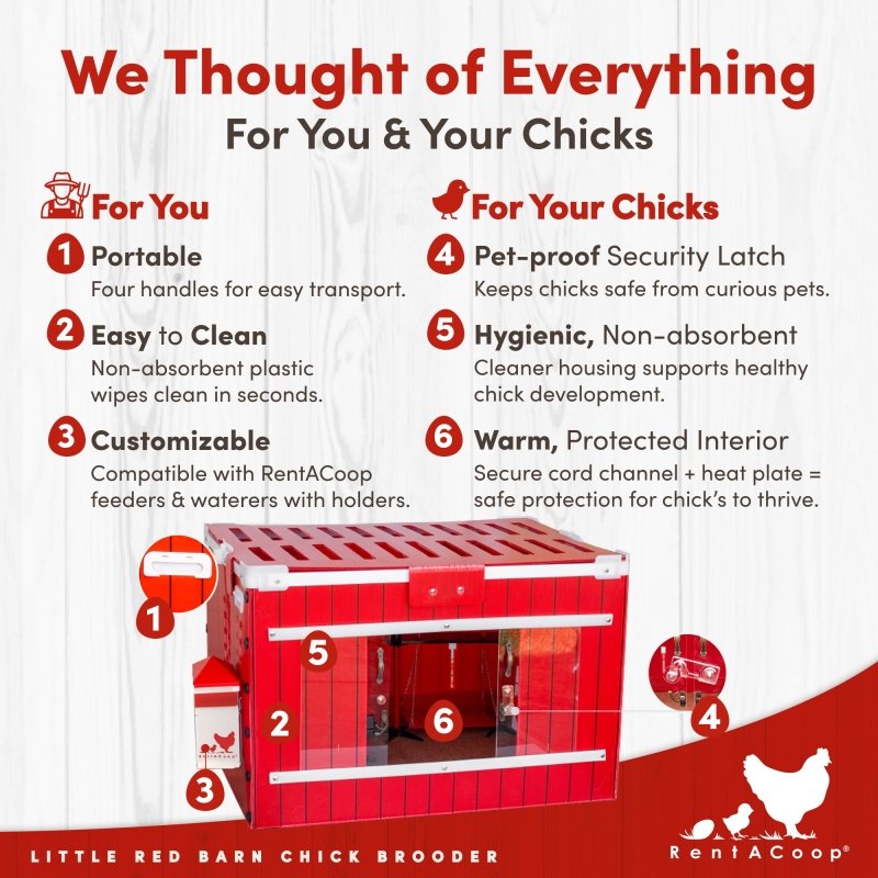 Little Red Barn chick brooder features: portable, easy to clean, security latch