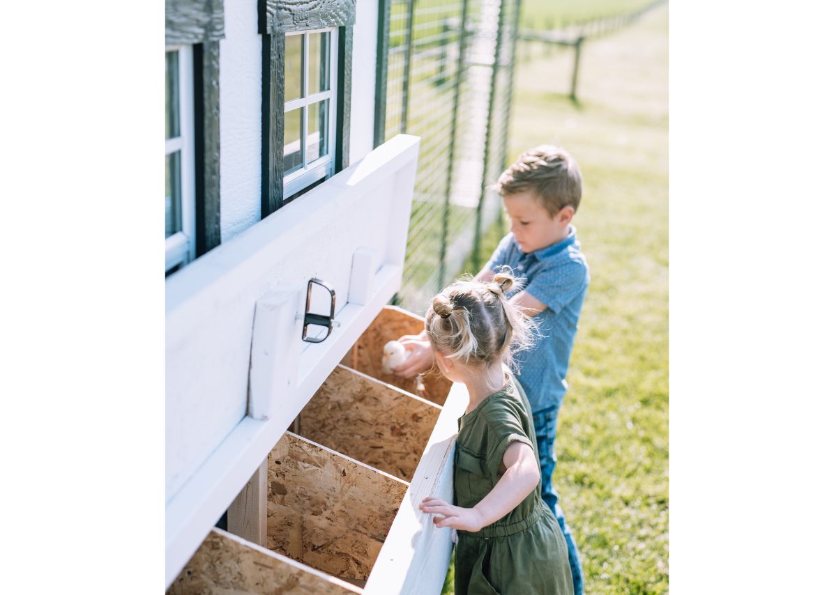 Children collecting eggs from the nesting box of a white large chicken coop