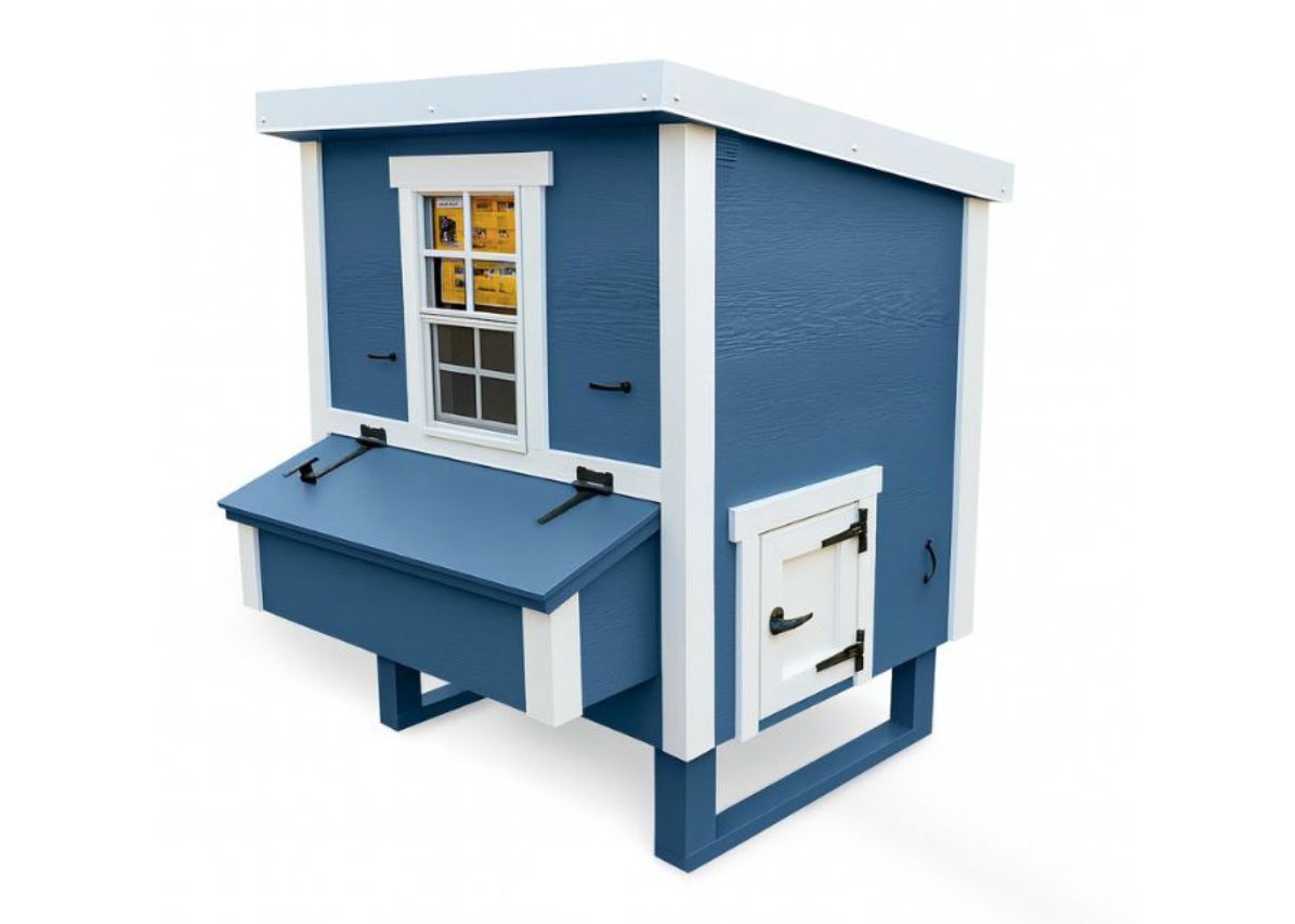 Blue medium chicken coop with white trim, side view with external nesting box