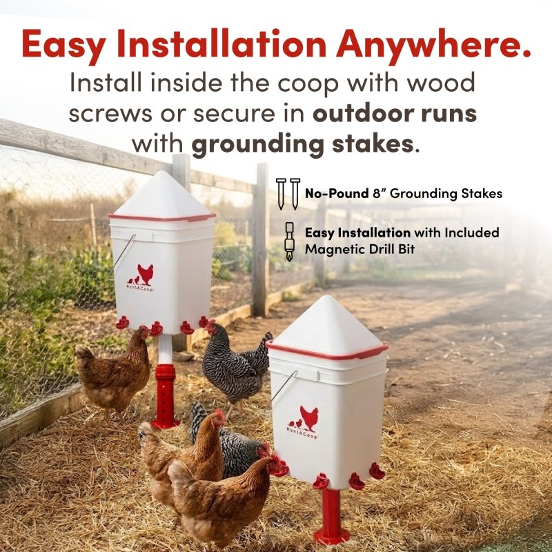 RentACoop 5 gallon waterer installed outdoors with grounding stakes