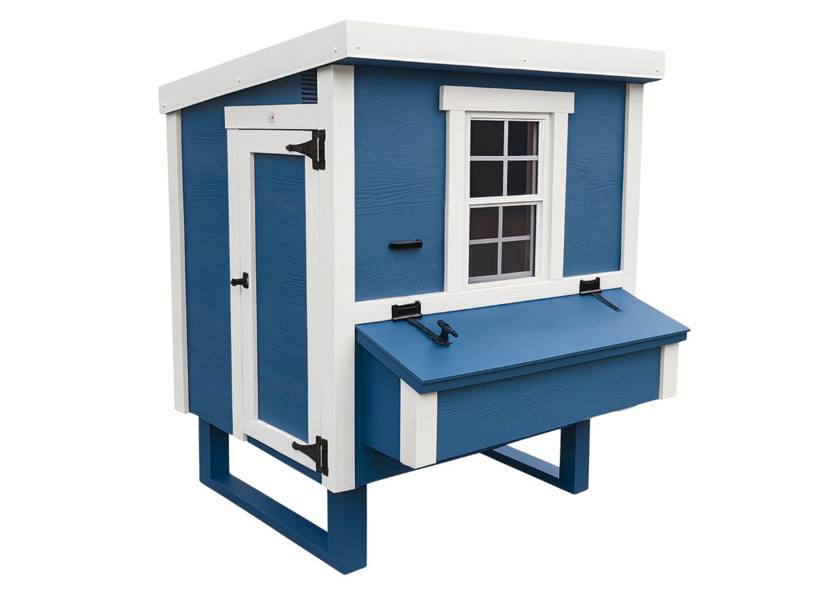 Blue medium chicken coop with white trim, with people door and nesting box