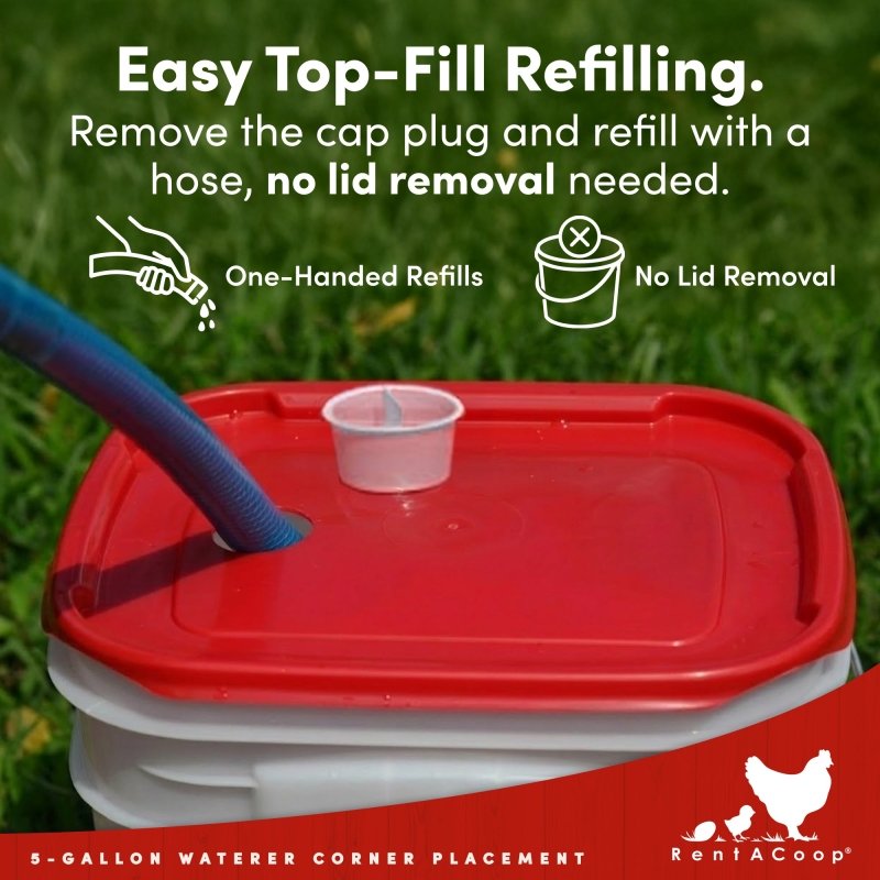 Hose top-filling the RentACoop 5 gallon waterer without removing the lid