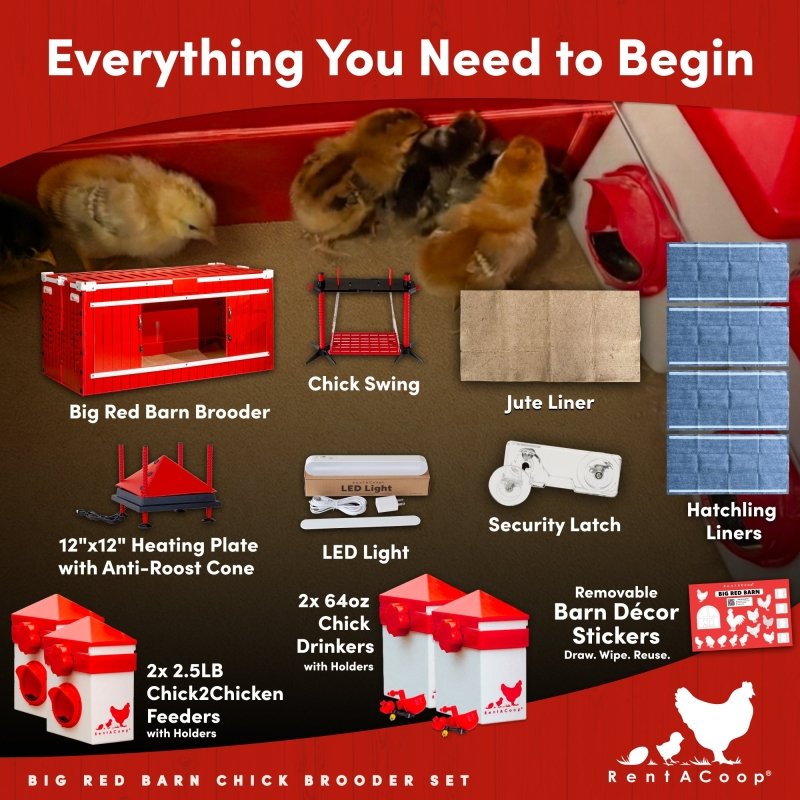 Big Red Barn brooder set with heating plate, feeders, drinkers, LED light and liners