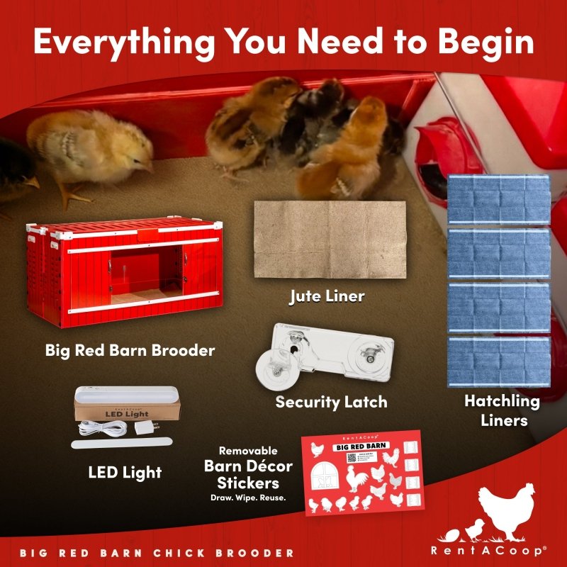 Big Red Barn brooder kit with jute liner, LED light, security latch and hatchling liners