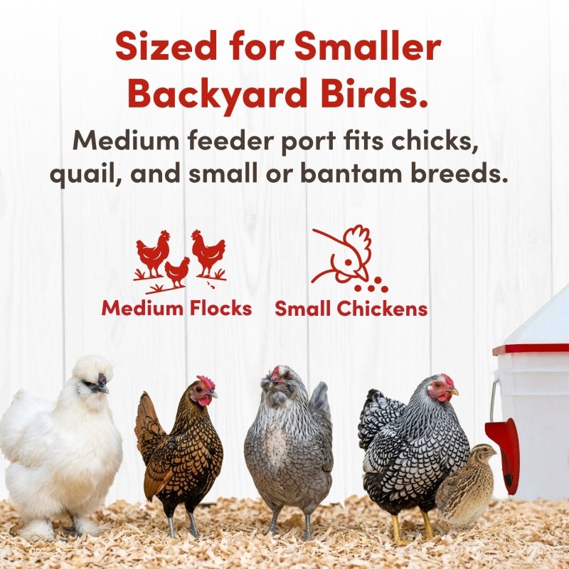 Medium feeder port sized for chicks, bantams and small backyard breeds