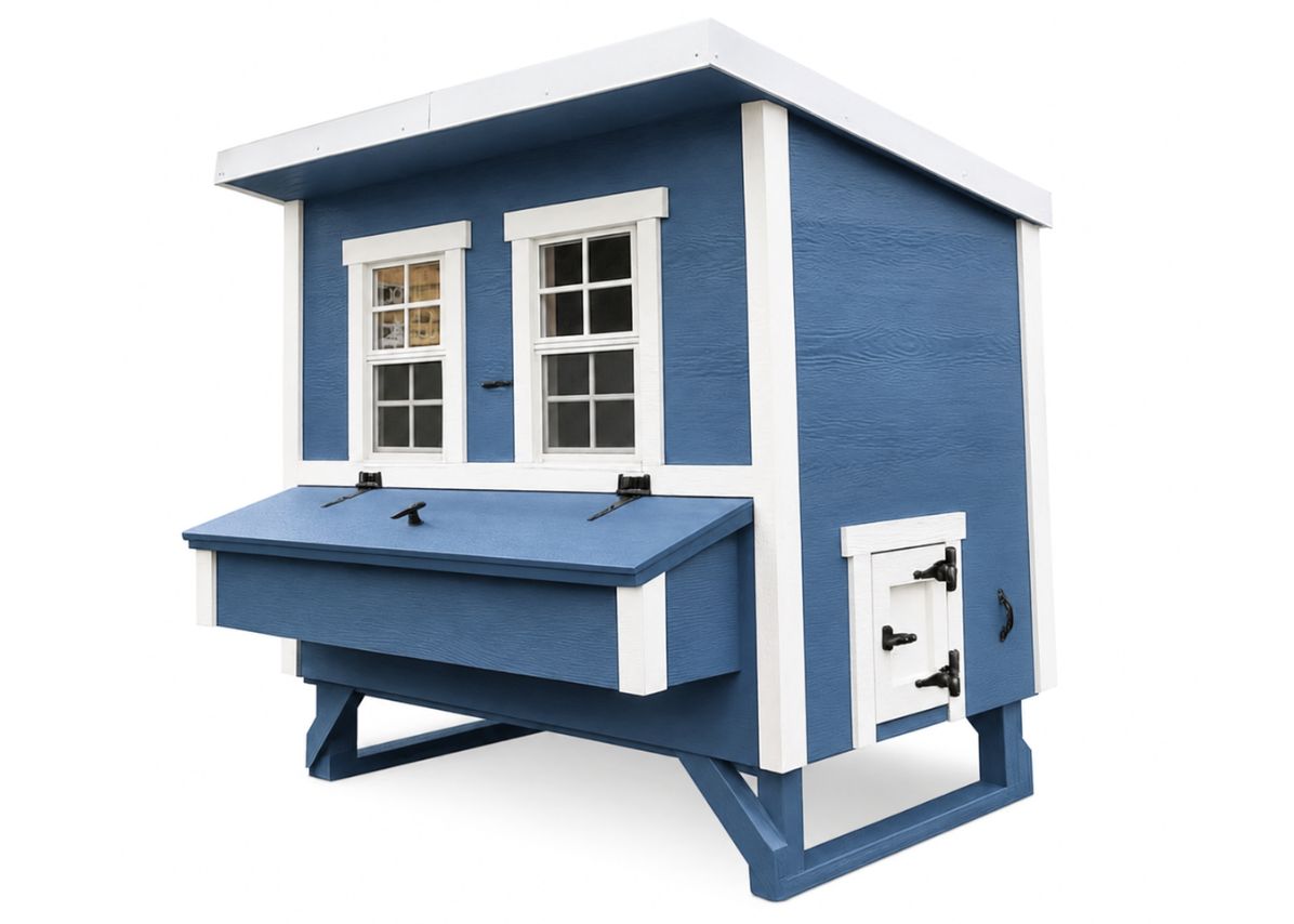 Blue large chicken coop with white trim, side view with external nesting box