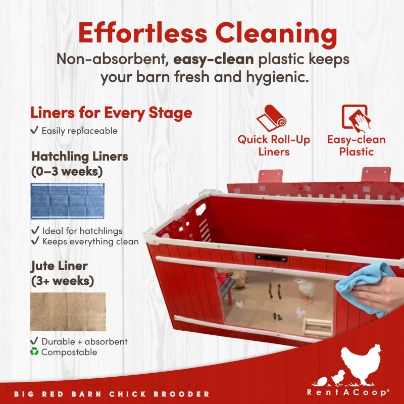 Easy-clean plastic interior and roll-up liners in the Big Red Barn brooder