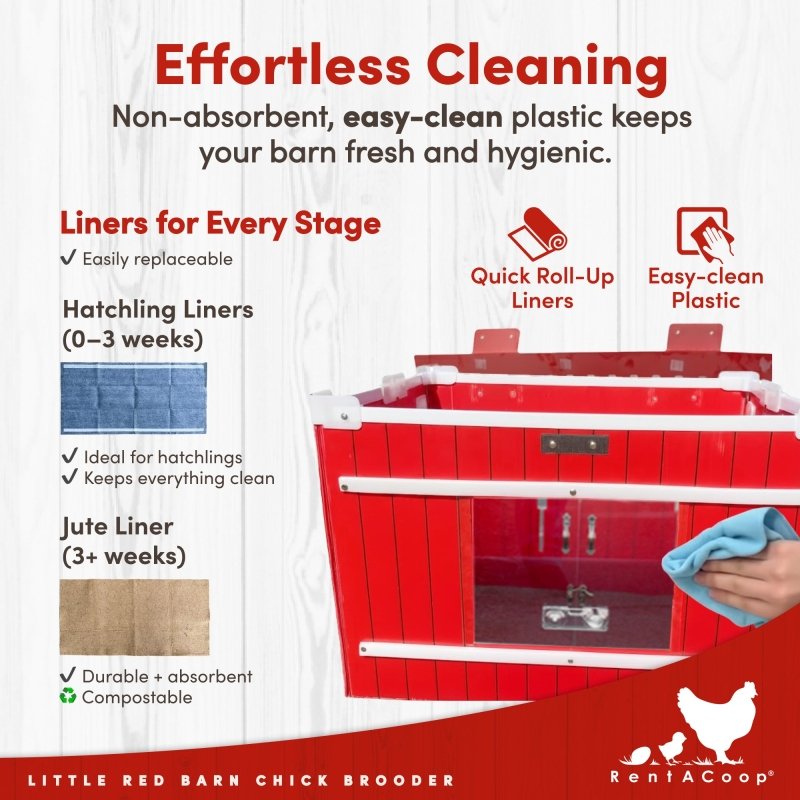 Easy-clean plastic interior and roll-up liners in the Little Red Barn brooder