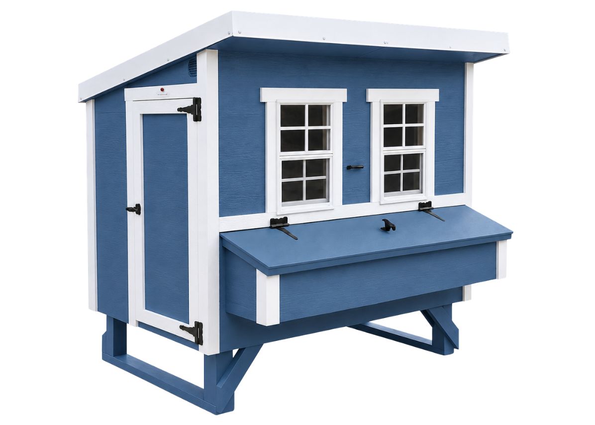 Blue large chicken coop with white trim, with people door and nesting box