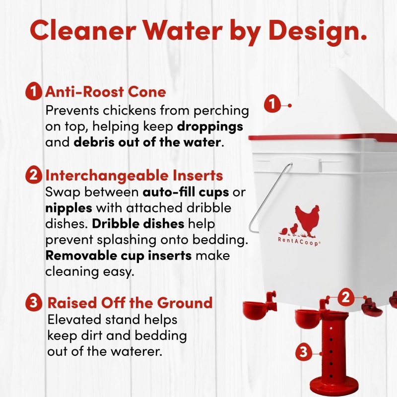 RentACoop 5 gallon waterer anti-roost cone, interchangeable inserts and raised stand