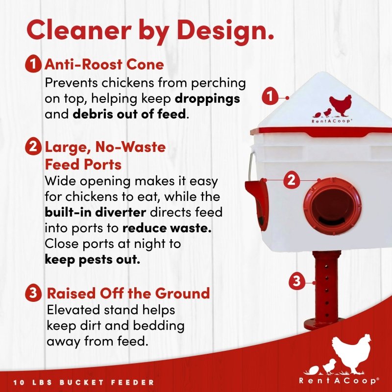 Chick2Chicken feeder anti-roost cone, no-waste ports and raised stand