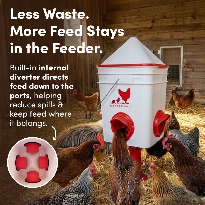 Internal diverter in the RentACoop feeder sends feed to the ports