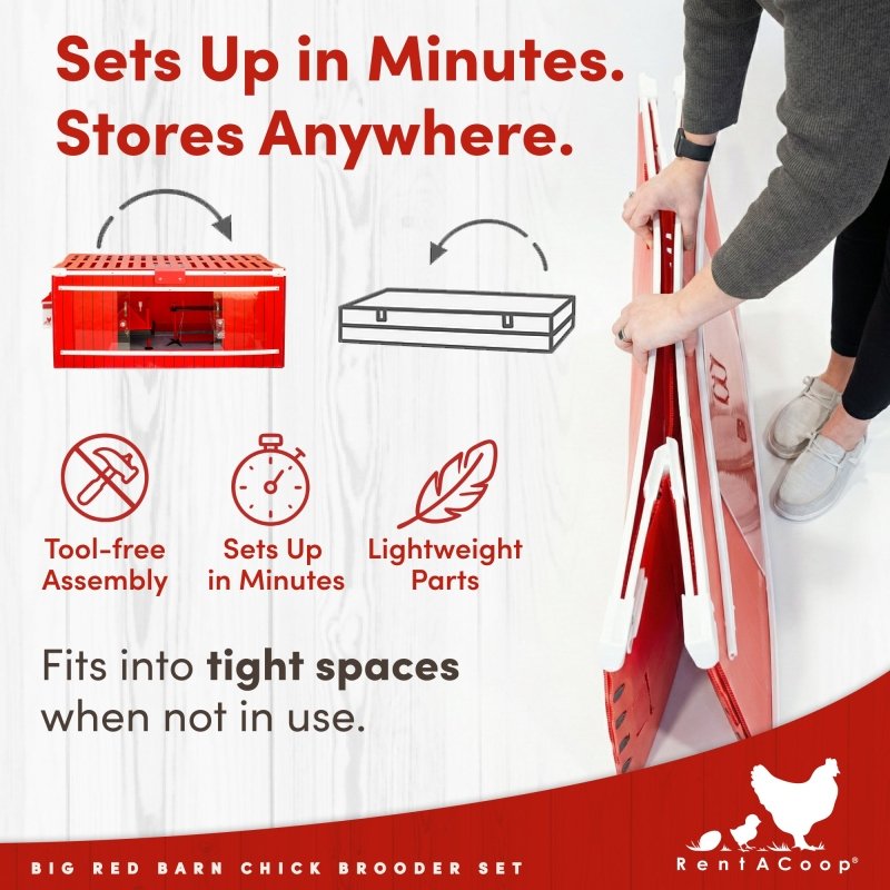 Big Red Barn brooder folds flat and sets up in minutes