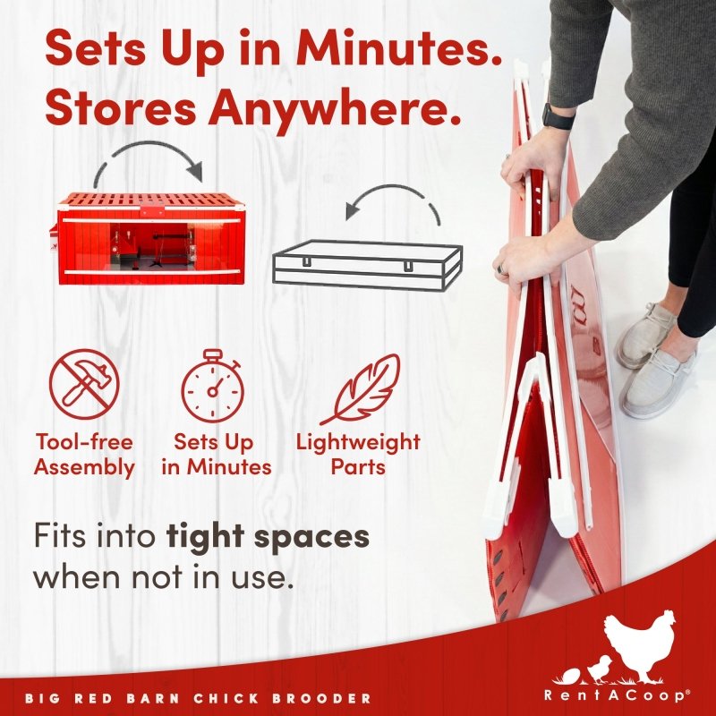 Big Red Barn brooder folds flat and sets up in minutes