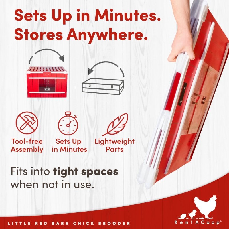Little Red Barn brooder folds flat and sets up in minutes
