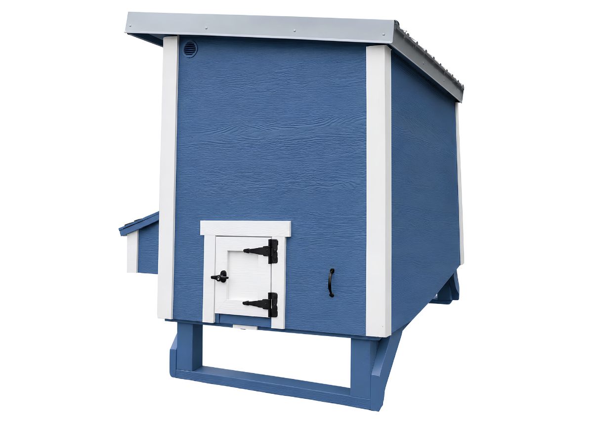 Blue large chicken coop with white trim, back view with chicken pop door