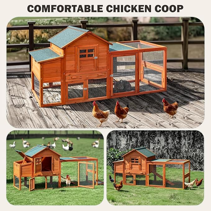 Wooden chicken coop with run shown in a backyard with hens