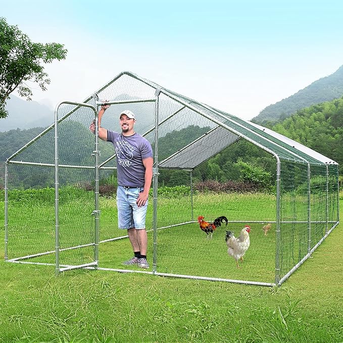 LEMBERI large metal walk-in chicken run with a man and chickens inside