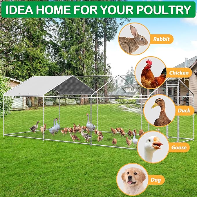 Walk-in chicken run for chickens, ducks, geese, rabbits and dogs