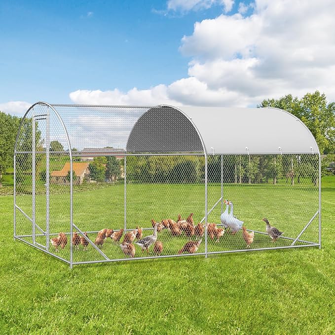 Dome-roof metal walk-in chicken run with hens on the grass