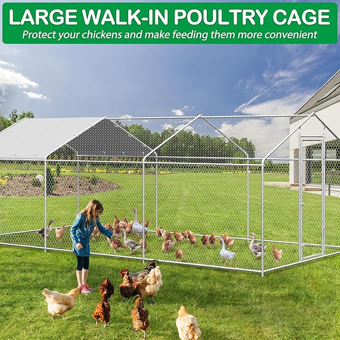 Woman feeding chickens inside a large walk-in poultry cage