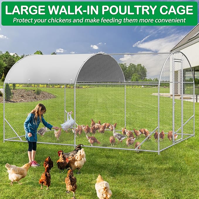 Woman feeding chickens inside a dome-roof walk-in poultry cage