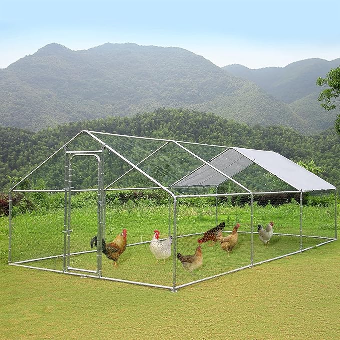 LEMBERI spire-roof metal chicken run with chickens on the grass