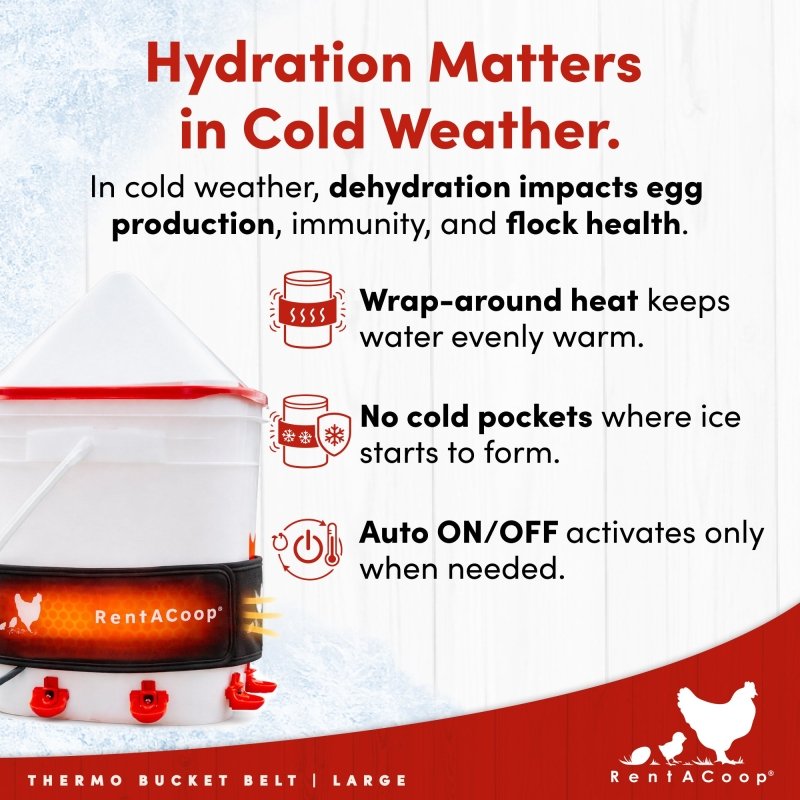 Thermo Bucket Belt keeps chicken water from freezing in cold weather