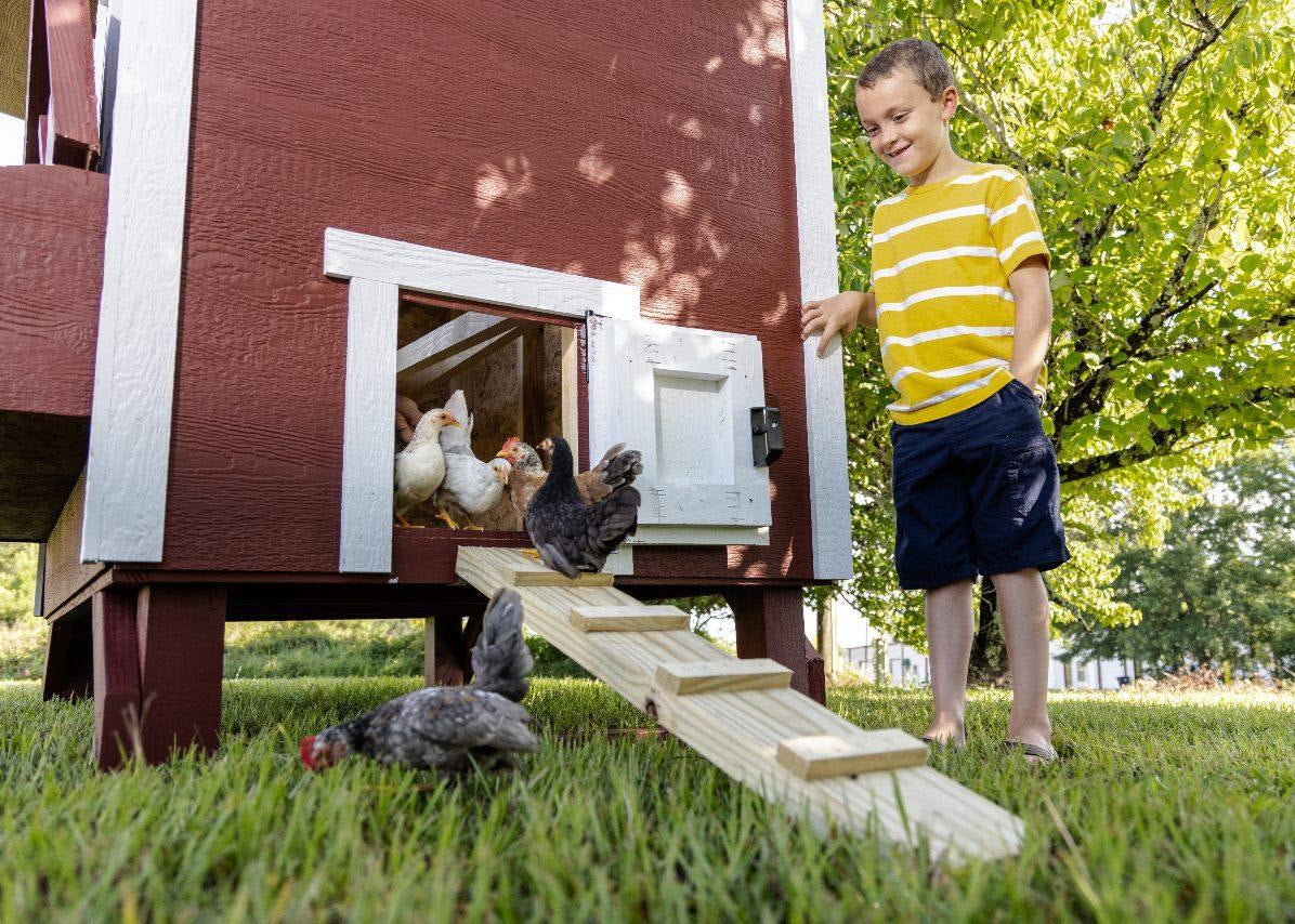 Red large chicken coop with white trim, with a boy and chickens in the yard