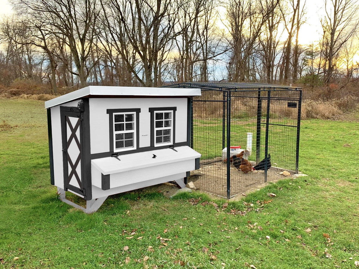White farmhouse-style large chicken coop, connected to a walk-in run