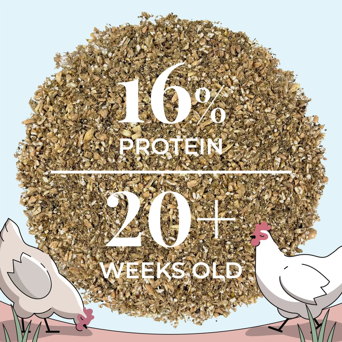 Layer Organic Chicken Feed