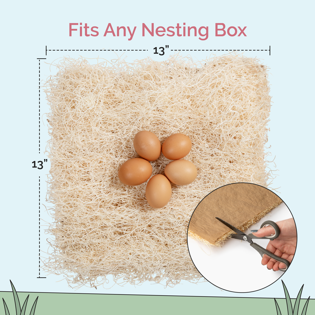 13 by 13 inch nesting pad with eggs fits any nesting box