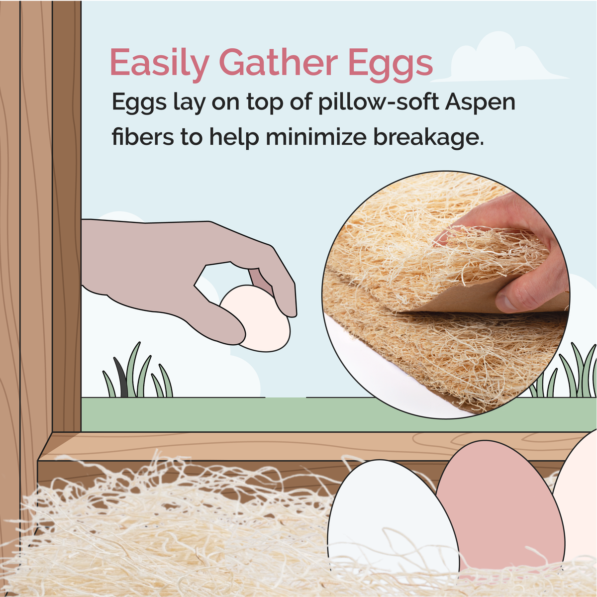 Eggs rest on soft aspen fibers to minimize breakage