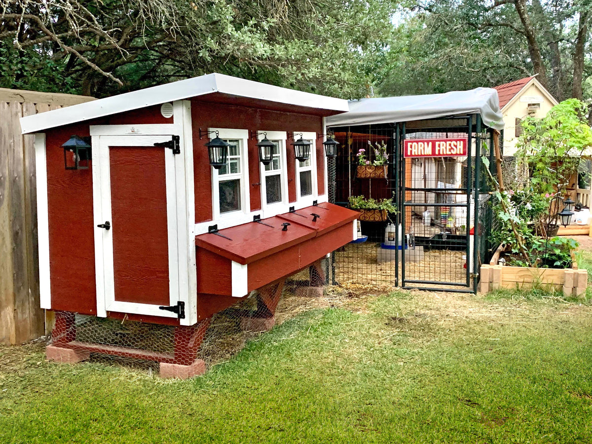 Red XL chicken coop set up in a backyard