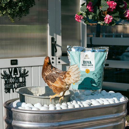 Diva Dust Bath™ Additive