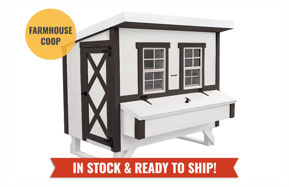 White farmhouse-style large chicken coop, in stock and ready to ship