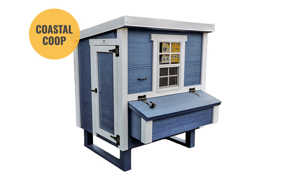 Blue medium chicken coop with white trim, in stock and ready to ship