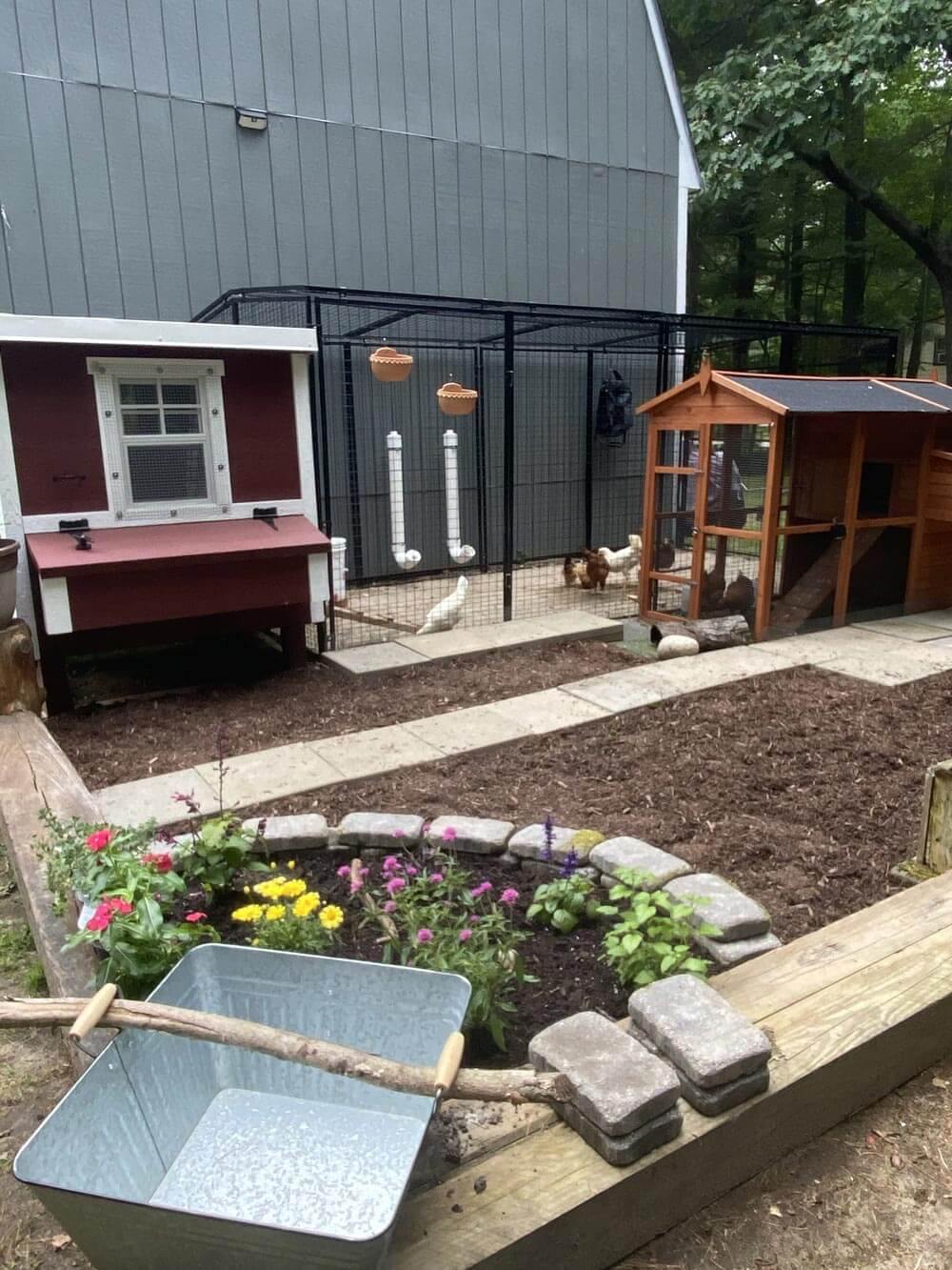 Red medium chicken coop with white trim, in a backyard garden