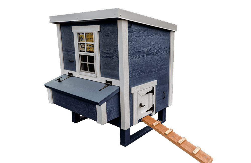 Blue medium chicken coop with white trim, with pop door ramp