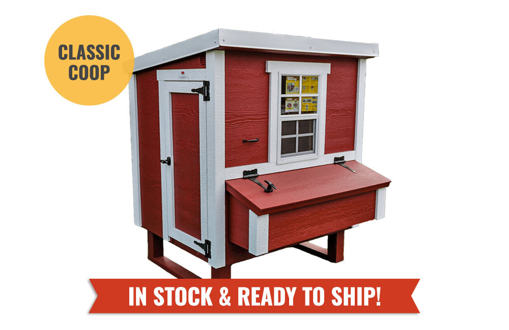 Red medium chicken coop with white trim, in stock and ready to ship